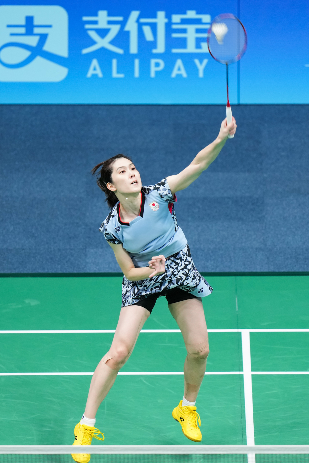 的合法权益 的合法权益