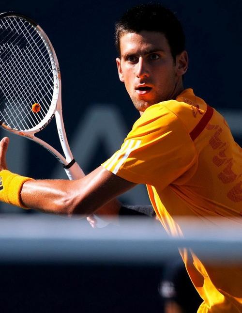 老鹰本赛季 老鹰本赛季